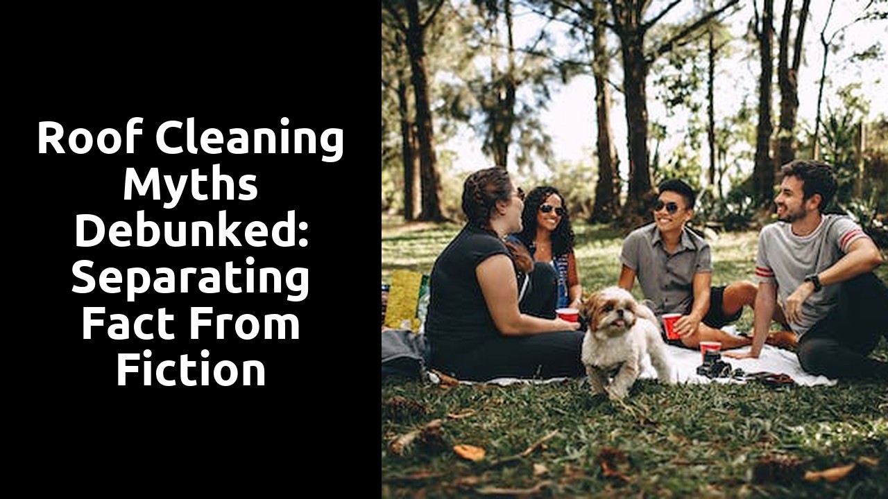 Roof Cleaning Myths Debunked: Separating Fact From Fiction