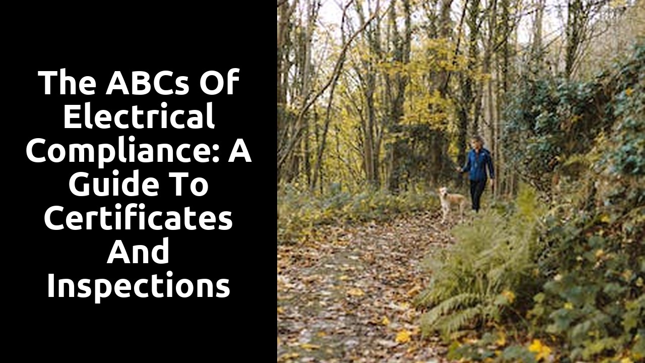 The ABCs of Electrical Compliance: A Guide to Certificates and Inspections