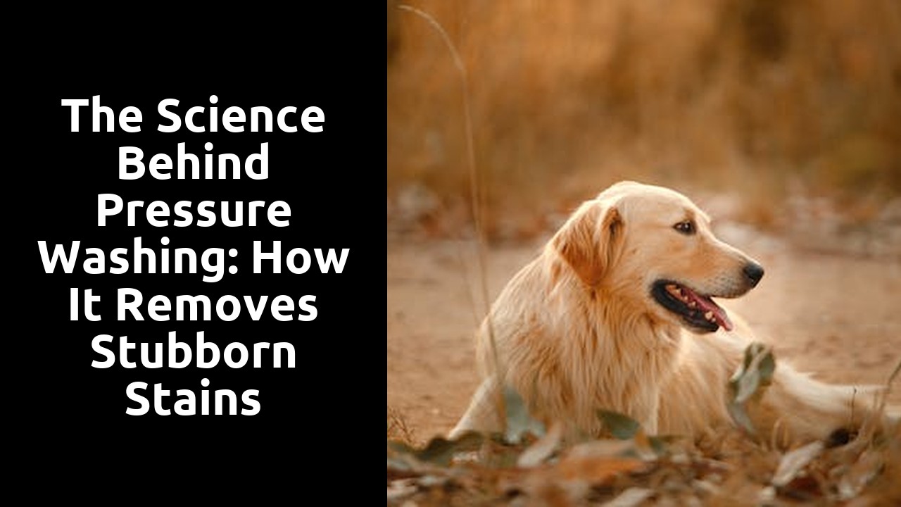 The Science Behind Pressure Washing: How It Removes Stubborn Stains