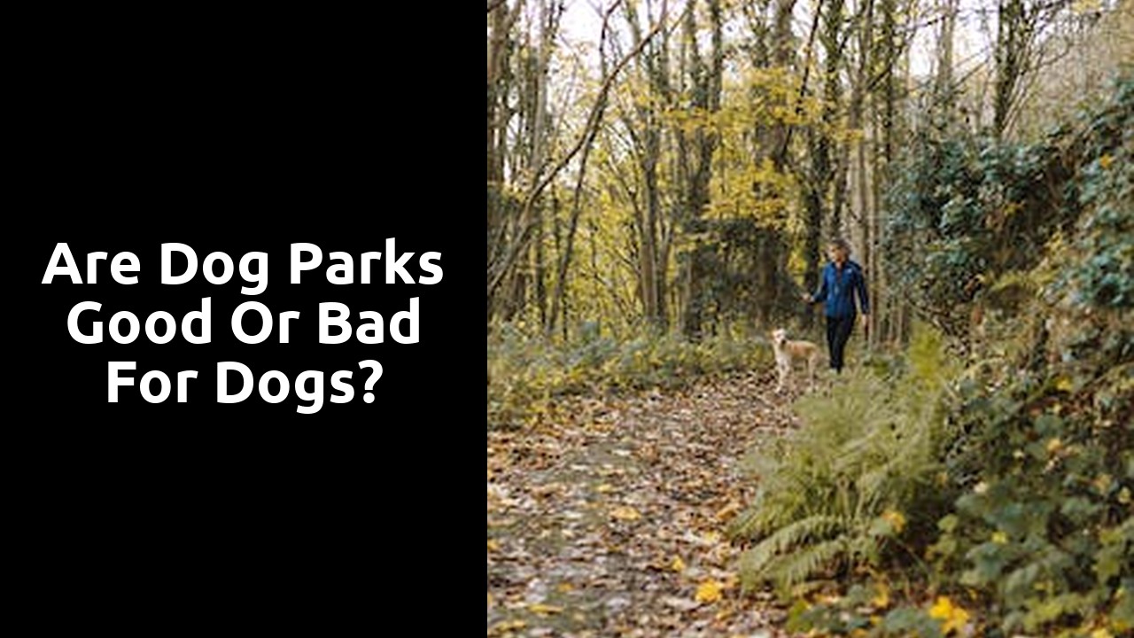 Are dog parks good or bad for dogs?
