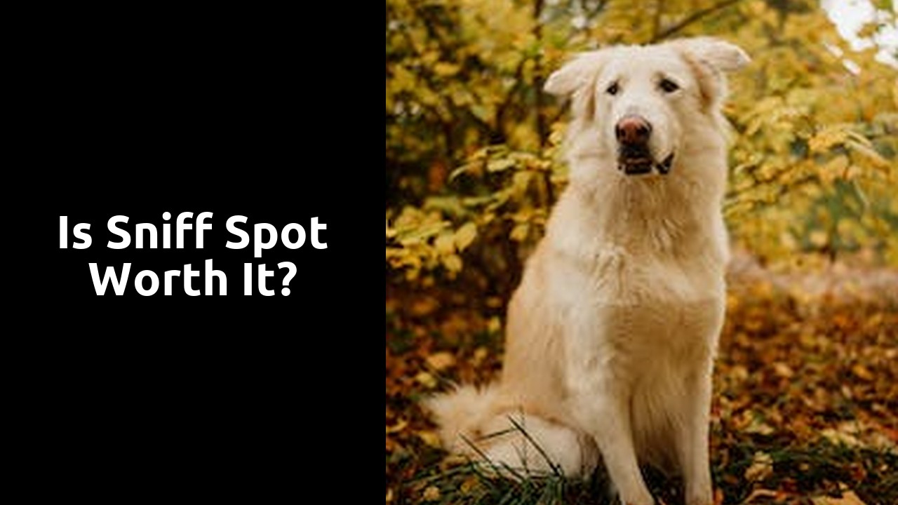 Is sniff spot worth it?
